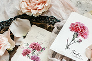 Red Carnation, an Illustration by Olga Koelsch (Thumbnail 2 of 8)