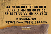 BARBAROSA - Vintage Typeface, a Serif Font by Gassstype (Thumbnail 6 of 8)