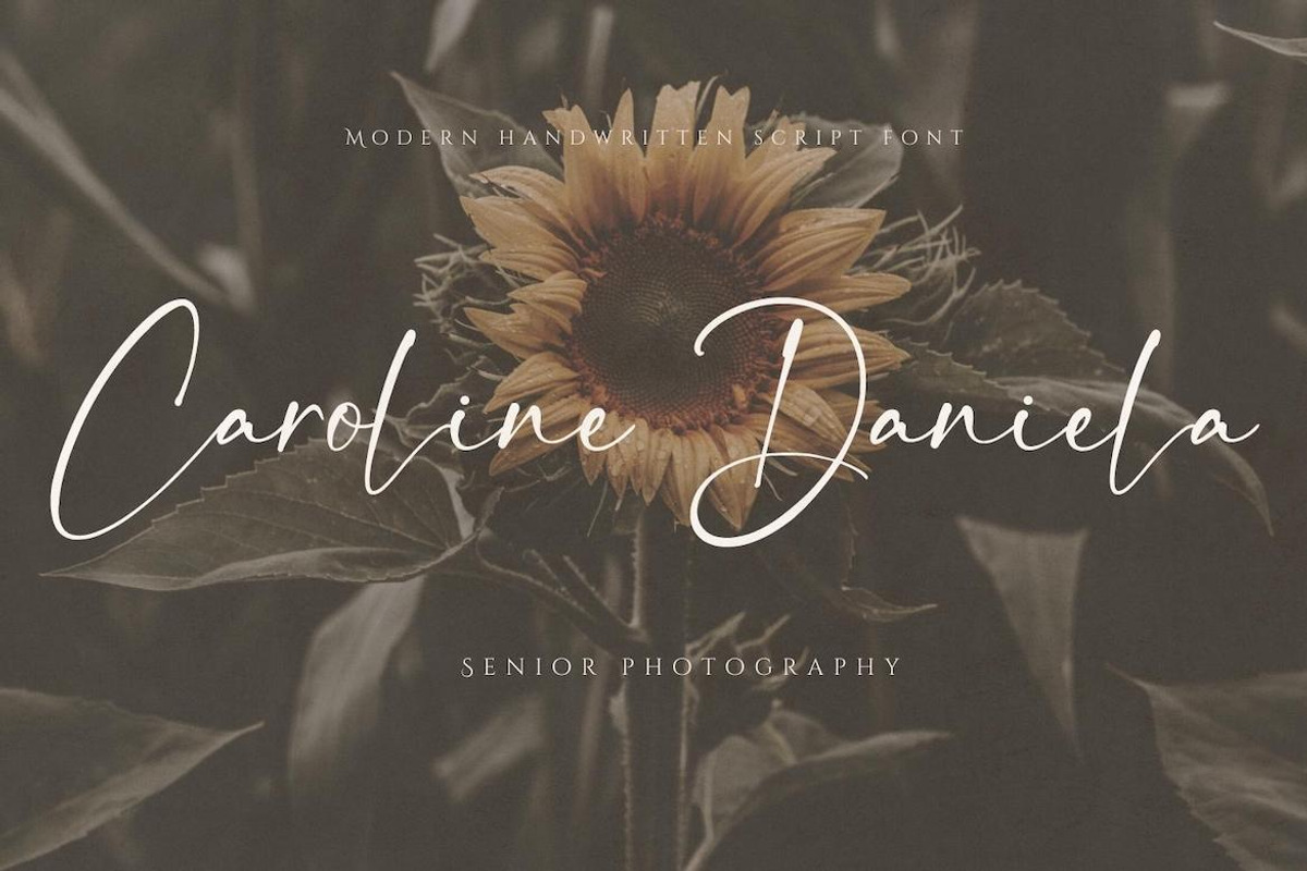 Maestro Brilliant, a Handwritten Font by CreateBigSupply (Photo 2 of 9)