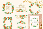 Tangerines Watercolor collection, a Decorative Illustration by SashaKondr (Thumbnail 9 of 14)