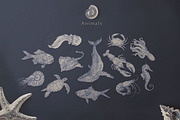 Silver Breeze Collection, a Decorative Illustration by Michael Rayback Design (Thumbnail 2 of 10)