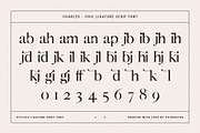 Charles - Chic Ligature Serif Font, a Serif Font by SilverStag Type Foundry (Thumbnail 25 of 31)