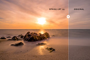 Spring Lightroom Presets, an Action Add-On by Art Zooted (Thumbnail 5 of 6)