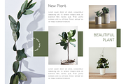 Qeghina and Co, a Sans Serif Font by Sofia Skoog (Thumbnail 10 of 10)