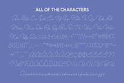 CS Lydia Dashed, a Script Font by Craft Supply Co. (Thumbnail 8 of 8)