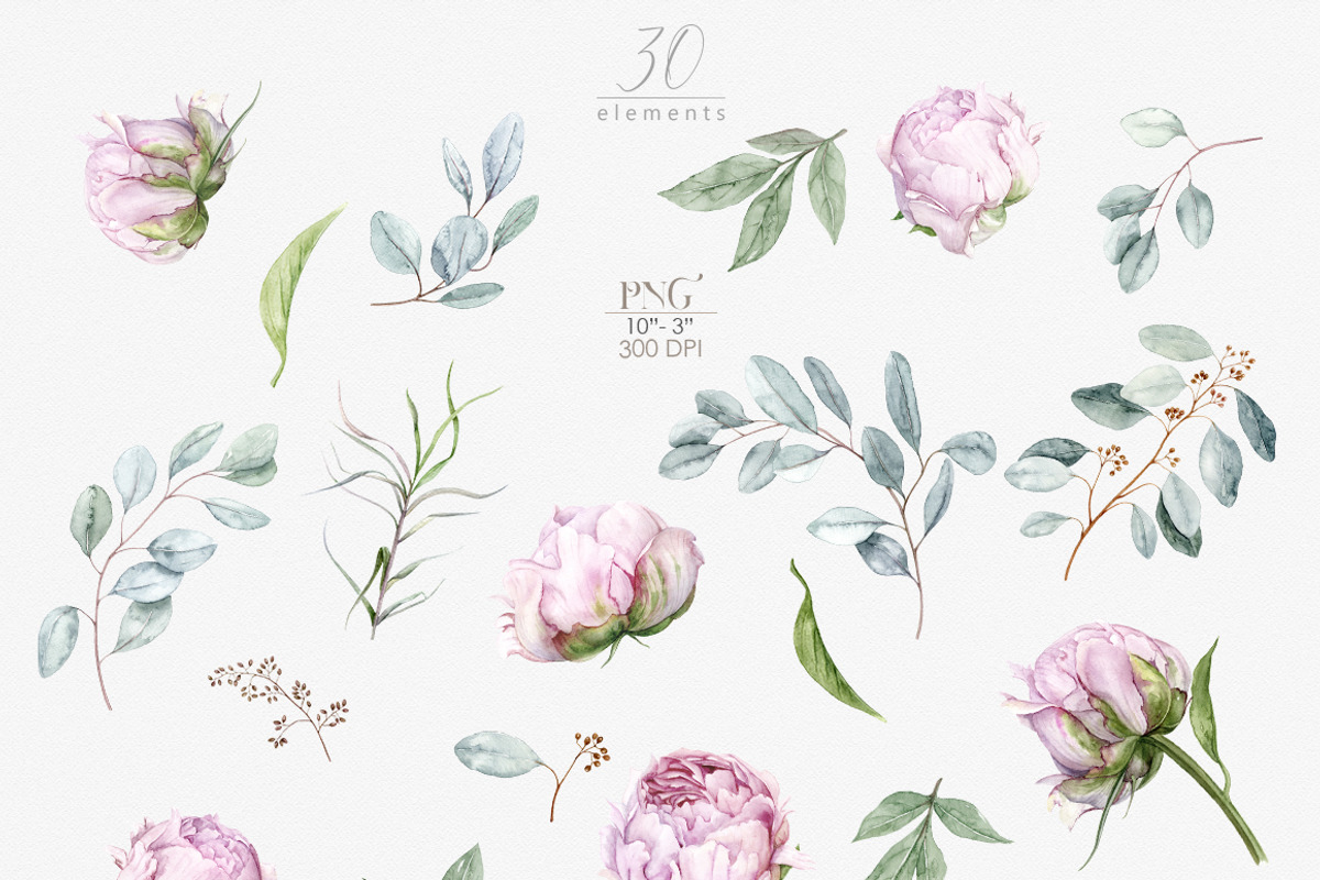 Pink Peonies and Eucalyptus clipart, a Decorative Illustration by ReachDreams (Photo 2 of 10)