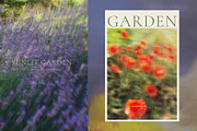 Blurry Flowers Abstract Backgrounds, a Background Graphic by Yuliya Derbisheva (Thumbnail 8 of 12)