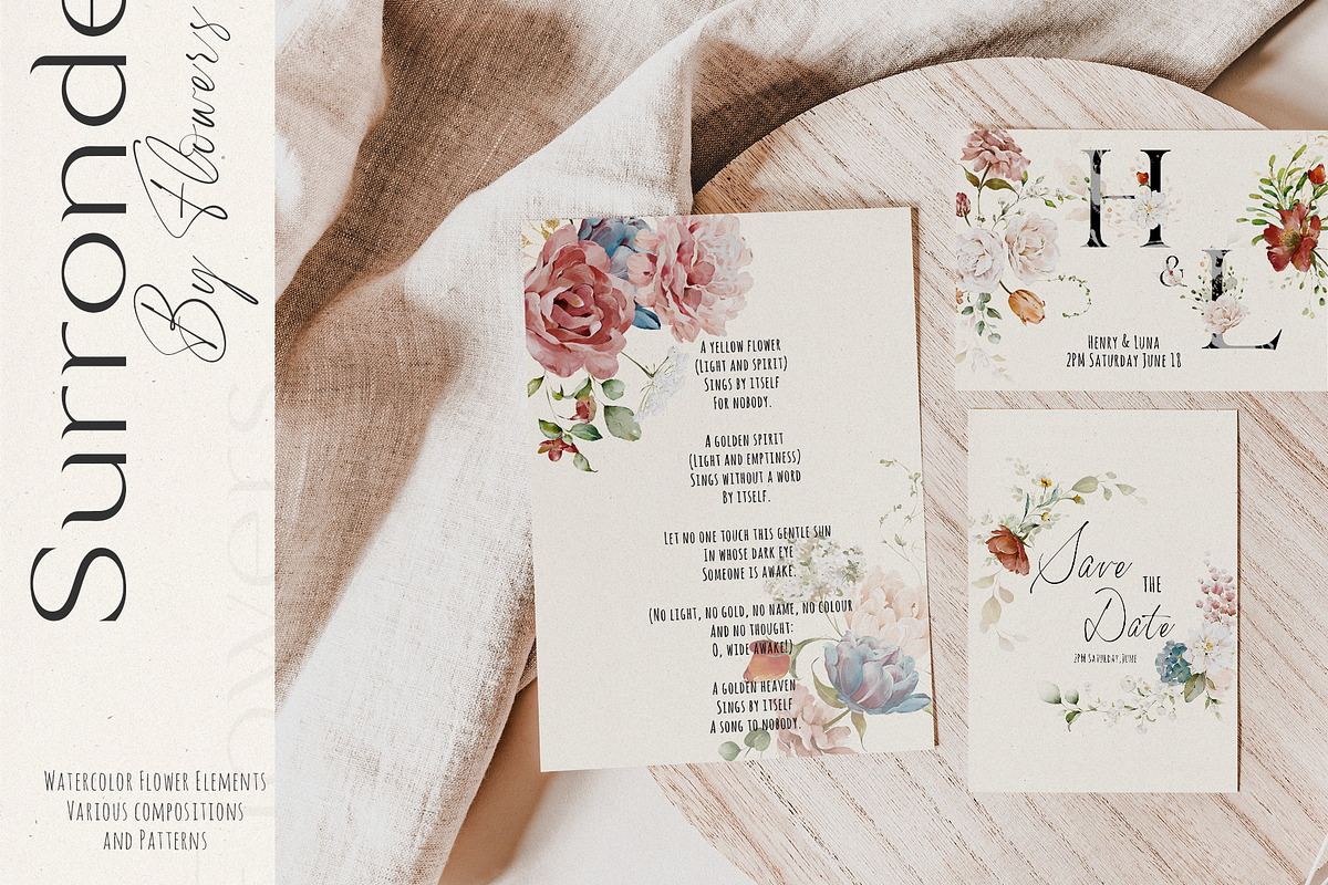 Watercolor Flower Collection, a Decorative Illustration by Damian Roh (Photo 2 of 19)