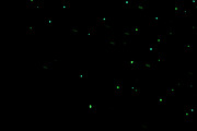 Spark Effex V2 - Spark Effects PNGs, an Object Graphic by Mike Moloney (Thumbnail 5 of 6)