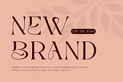 Molgife - Fashion Brand Font, a Serif Font by Iqsiart Studio (Thumbnail 5 of 15)