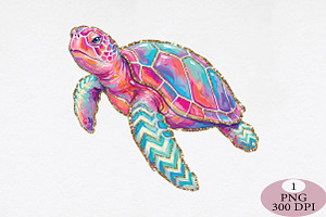 Coquette Summer Sea Turtle Png, an Illustration by Daily.Designs