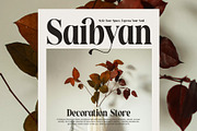 Collapse Elegant Serif Font, a Serif Font by Elegant Font (Thumbnail 2 of 8)