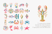 Tropical reef clipart set, a Decorative Illustration by Patishop Art (Thumbnail 4 of 10)