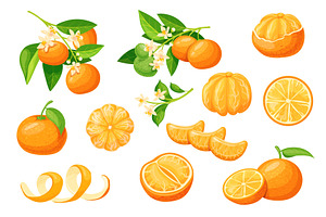 Cartoon mandarin fruit. Tangerine, a Food Illustration by Stock-Smart-Start