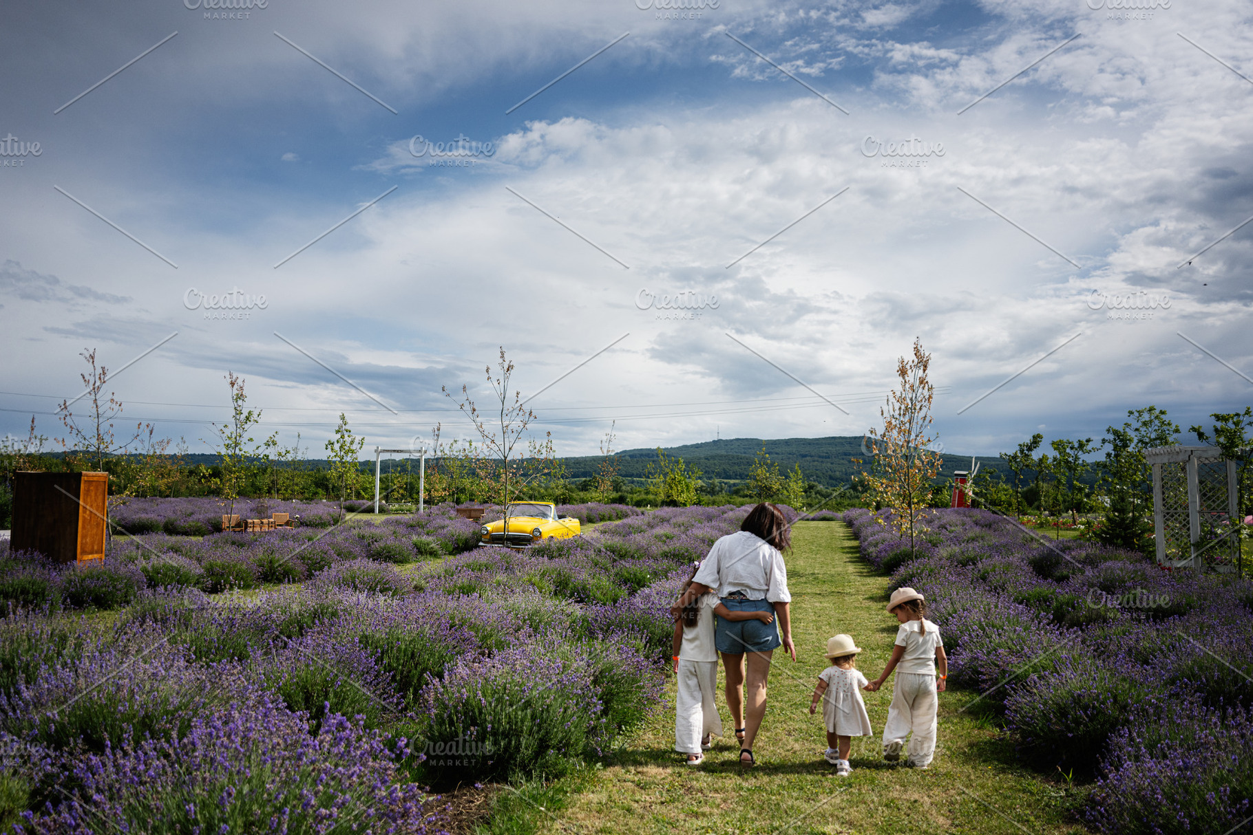 Family walking together in a lavender field on a sunny day, a Photo by AS photostudio