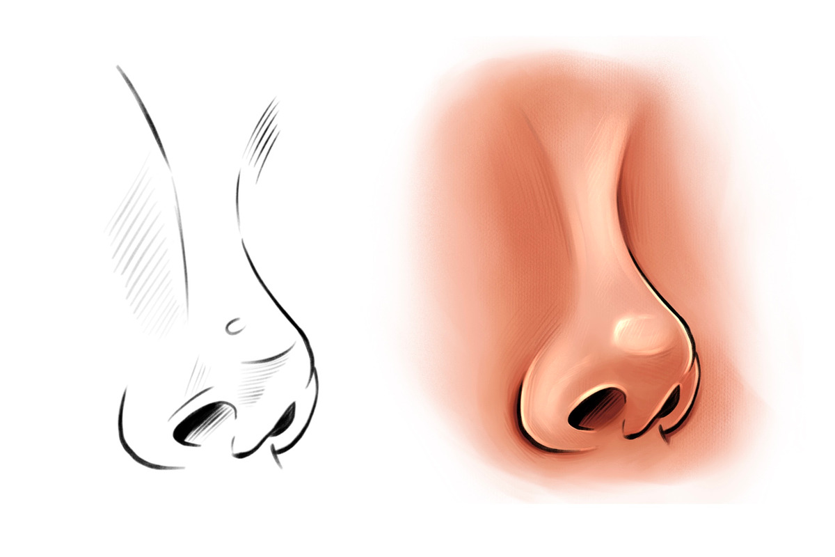 Procreate Nose lips eyes brushes, a Brush Add-On by Elenbushe (Photo 2 of 5)