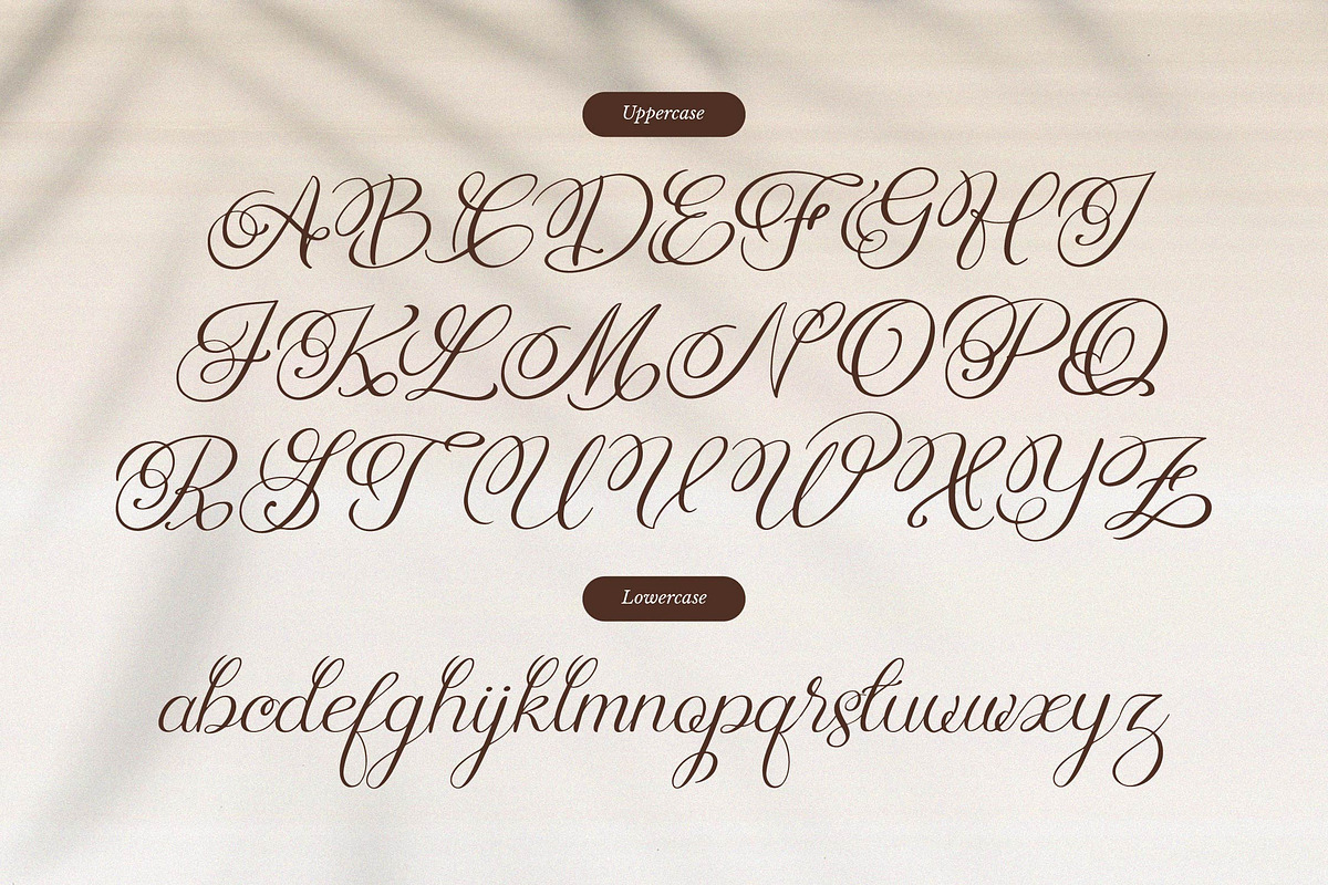 Rellydon Beautiful Calligraphy Font, a Script Font by Denustudios (Photo 10 of 13)