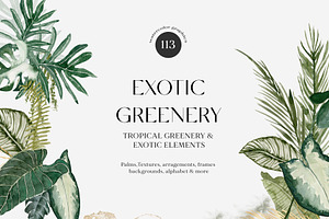 EXOTIC Greenery tropical foliage set, a Texture Illustration by Grace Noboa Illustrations