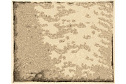 Copperplate Textures, a Texture Graphic by Blue Line Design (Thumbnail 8 of 16)