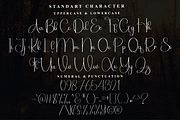Always, a Handwritten Font by InermediaSTUDIO (Thumbnail 5 of 7)