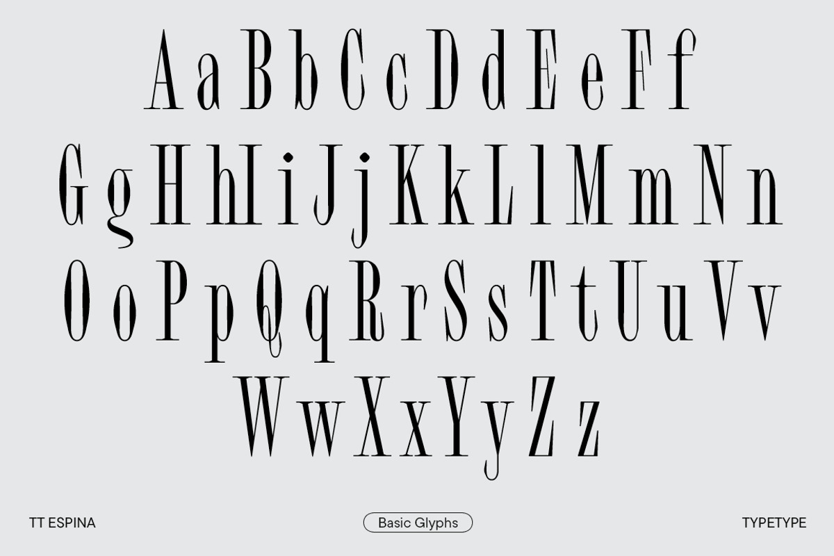 TT Espina, a Serif Font by TypeType (Photo 8 of 15)