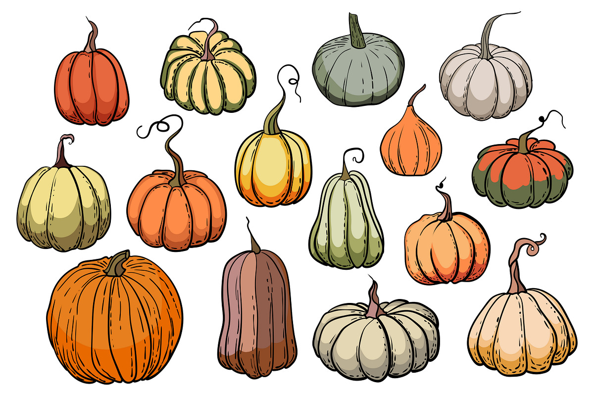 Pumpkins - vector clipart, a Seasonal Illustration by Glass Cat Design (Photo 4 of 10)