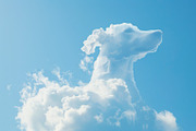 90 Clouds animals against a blue sky, an Animal Illustration by Handmadefont (Thumbnail 54 of 64)
