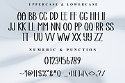 Thunder, a Script Font by InermediaSTUDIO (Thumbnail 6 of 8)
