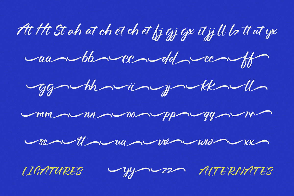 Avelyra, a Script Font by Typehill (Photo 9 of 9)