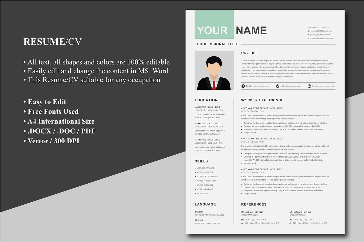 1 Pages Clean CV Template | Editable, a Resume Template by Blue Digital ...