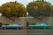 10 Film Look Lightroom Presets, a Preset Add-On by Oak Digital Studios (Thumbnail 8 of 9)