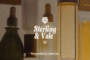 Atelier Modern Serif Font, a Serif Font by Nonceni (Thumbnail 11 of 15)