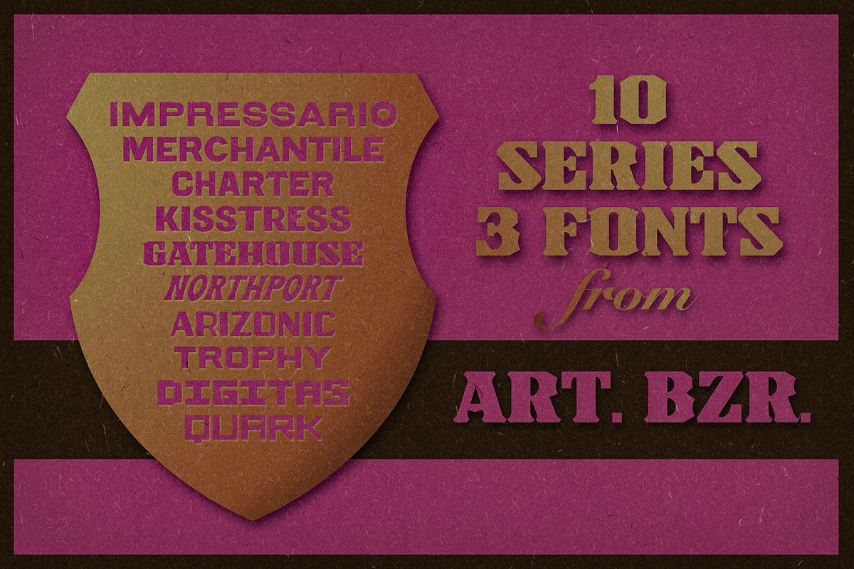 Gatehouse | Bold Bank Display Slab, a Serif Font by Artifact Bazaar (Photo 6 of 6)