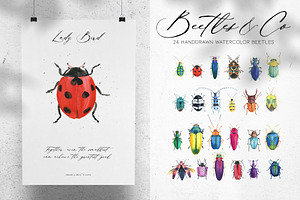 Watercolor Beetles&Co