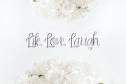 Treandy, a Script Font by Artic Type (Thumbnail 3 of 9)