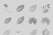 Leaf Tones Vol. 4 | Stippled Flora, a Seasonal Illustration by invisiblelayer (Thumbnail 2 of 5)