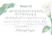 Rossi Mithori - Beautiful, a Script Font by Monoco Type Foundry (Thumbnail 7 of 11)