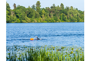 A swimmer enjoys a training session, a Sports & Recreation Photo by Backyard Stock
