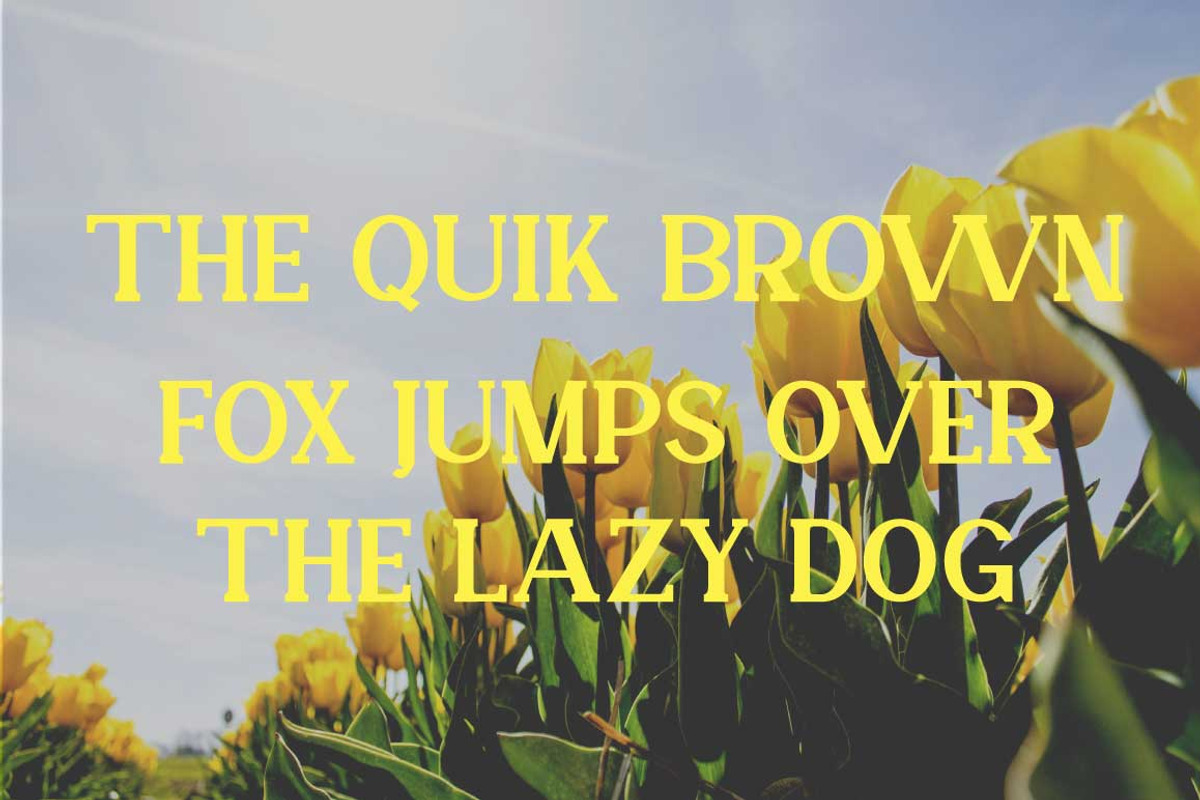 Veronika Display Font, a Serif Font by Cut Story (Photo 4 of 14)
