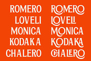 Epilonion - Serif Display Font, a Serif Font by Brainwaves.Studio (Thumbnail 6 of 11)