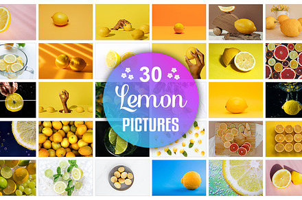 lemon Picture Bundle, a Food & Drink Photo by Digital Studio