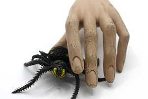 spooky toy spider and old doll hand, an Abstract Photo by sirylok