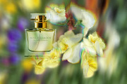 Blurry Flowers Abstract Backgrounds, a Background Graphic by Yuliya Derbisheva (Thumbnail 4 of 12)
