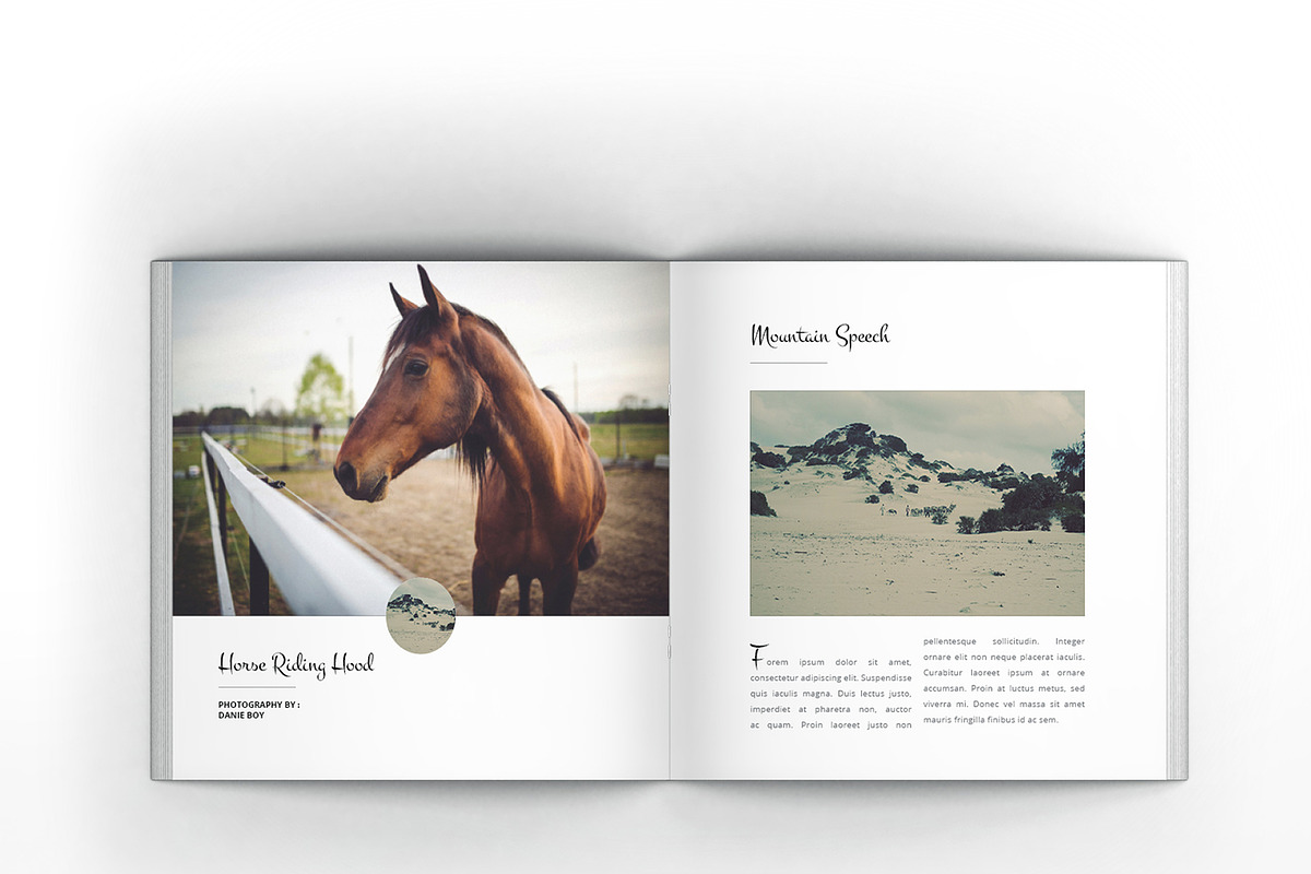 Multipurpose Square Clean Brochure, a Brochure Template by Incools Stokie (Photo 6 of 14)