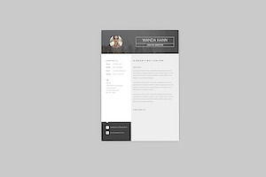 Delight CV Resume Designer