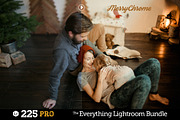 225 Lightroom Presets Bundle, an Action Add-On by Presetrain Co. (Thumbnail 8 of 13)