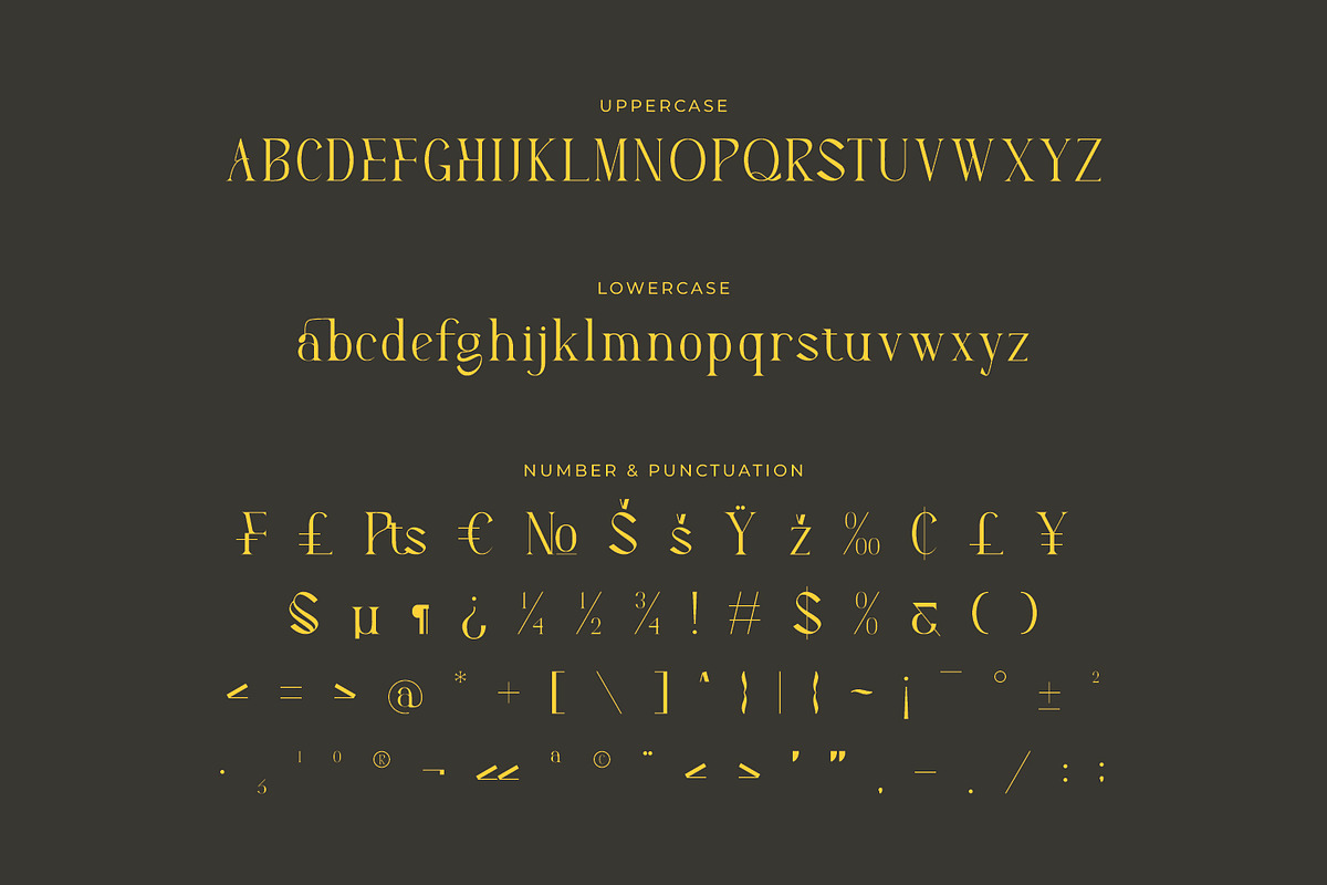 Arkalune - Serif Typeface Font, a Serif Font by Rishsketch (Photo 13 of 15)