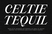 New Valley - Pixelate Italic Serif, a Serif Font by Typia Nesia (Thumbnail 7 of 15)
