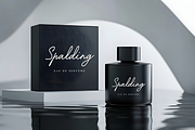 Midnight Reflection – Casual Script, a Script Font by Fikryal Studio (Thumbnail 2 of 15)