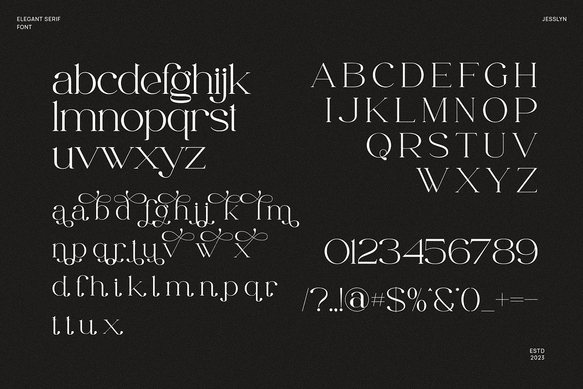 Jesslyn - Stylish Serif Font, a Serif Font by Aqeel_Art (Photo 10 of 10)